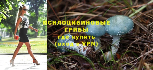 бутират Горнозаводск
